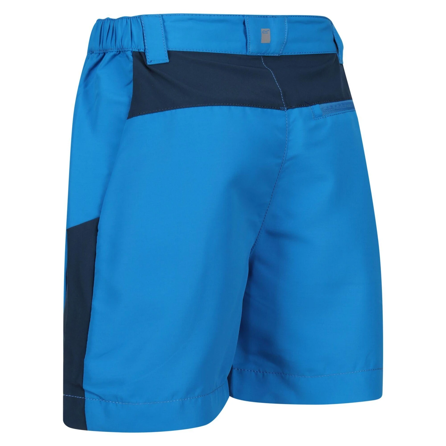Regatta Sorcer Mountain III Kids' Hiking Shorts - Image 2