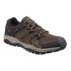 Cotswold Adults Stowell Low Hiking Shoes (Brown)