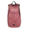 Regatta 15 Litre Bedabase II Backpack (Dusty Rose)